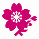 町の花　桜