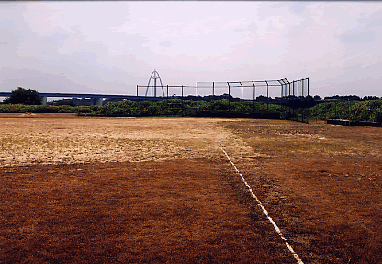 勤労青少年運動場を北側から見た風景