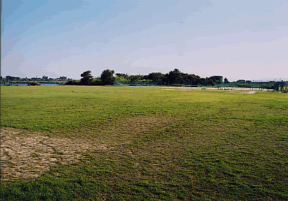 緑地公園内運動場を北側から見た風景