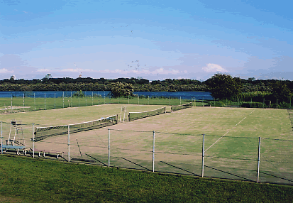 緑地公園内テニスコートを西側から見た風景