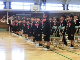 小学校の新１年生の写真