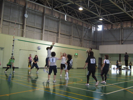 ソフトバレーボール大会の様子
