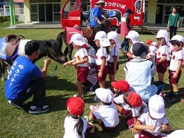 園児がミニチュアホースにえさをあげている写真（下羽栗保育所）