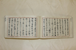 濃尾震災体験日誌