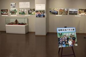 国際交流パネル展の全体像