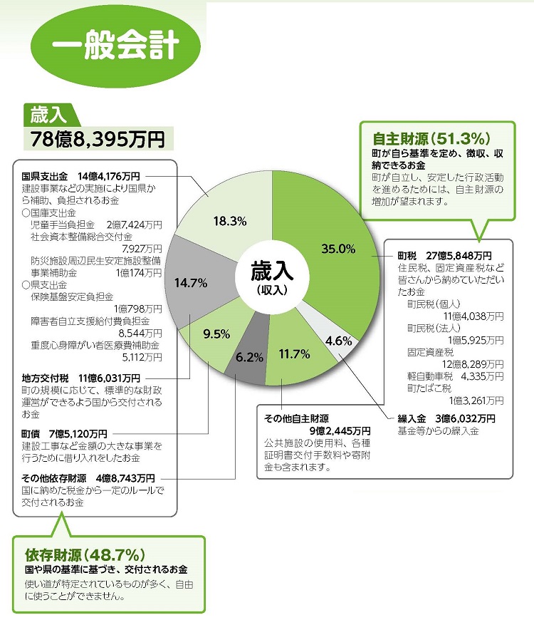 平成28年度一般会計歳入決算状況円グラフ