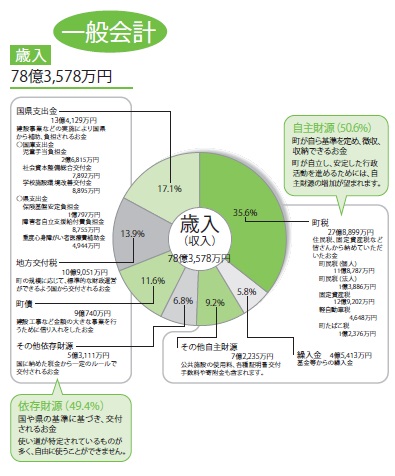 平成29年度一般会計歳入決算状況円グラフ