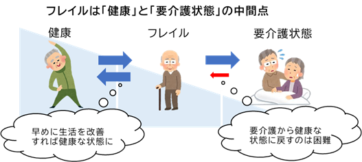 フレイル中間点