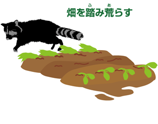 img10.png