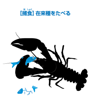 img4.png