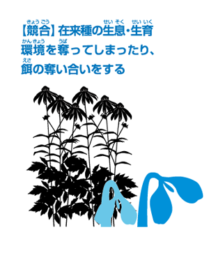 img5.png