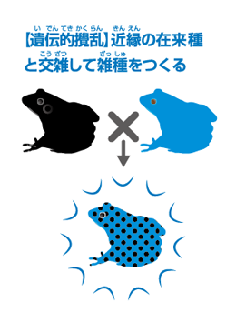 img6.png