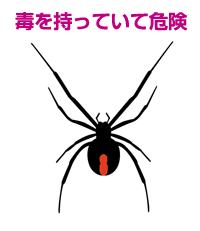 img7.png