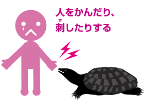 img8.png