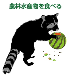 img9.png