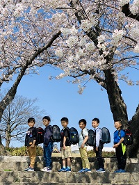 a.sakurako2331