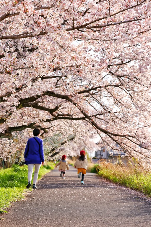 suzurinrinm.jpg