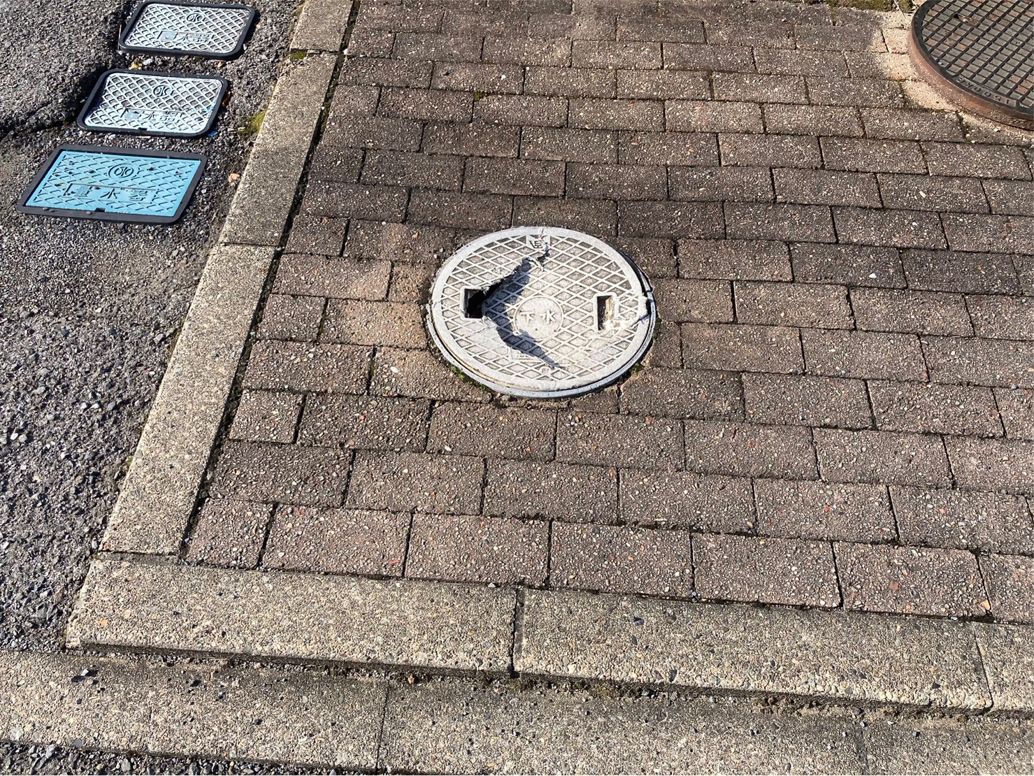 1722406208183.jpg