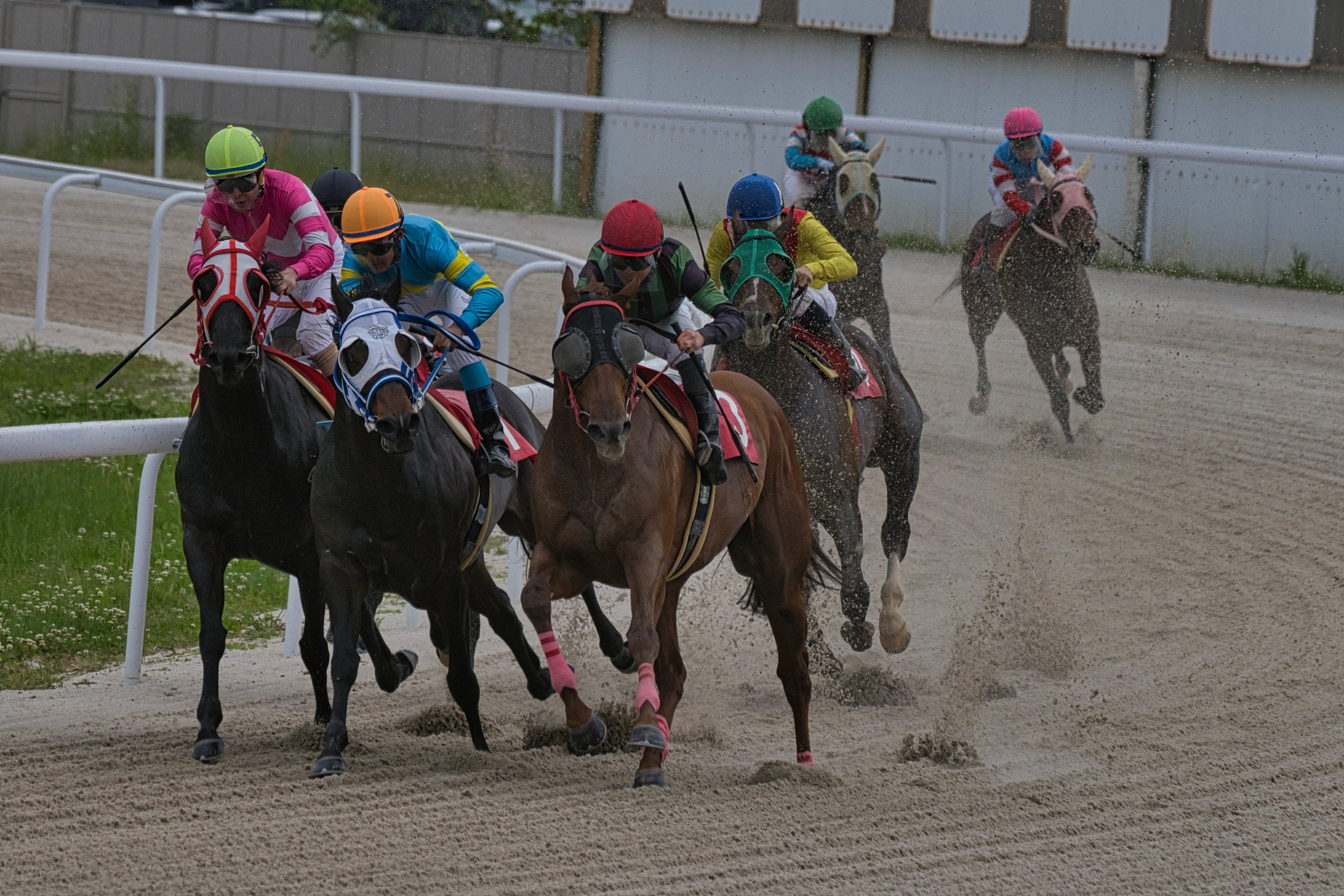 笠松競馬場